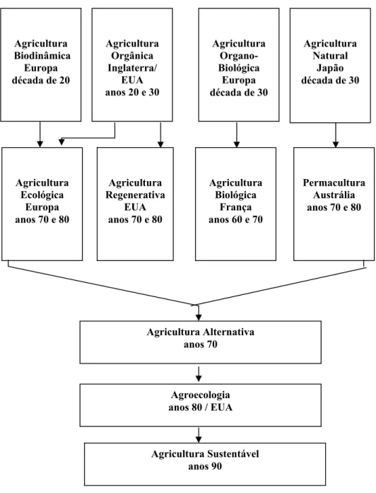 FIGURA 4.1- Principais correntes da Agricultura Alternativa e seus desdobramentos.   Adaptado de DAROLT (2001)