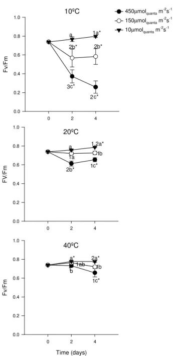 Figure  4.1.  –  Cymodocea  nodosa  potential  quantum  yield  of  PSII  (Fv/Fm)  in  plant  leaves  under field conditions (field) and submitted to combined temperatures (10ºC, 20 ºC and 40ºC)  and  light  levels  (10,  150  and  450µmol quanta   m -2 s -
