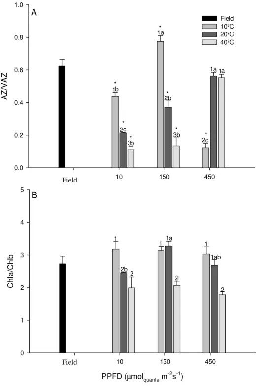 Figure  4.2.  –  Cymodocea  nodosa  de-epoxidased  pigments  xanthophyll  cycle  pigments  ratio  (AZ/VAZ)  (A)  and  chlorophyll  a  :chlorophyll  b  ratio  (B)  in  plant  leaves  under  field  conditions (field) and submitted to combined temperatures (1