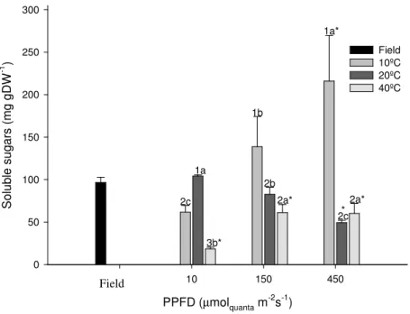 Figure  4.4.  –  Cymodocea  nodosa  soluble  sugar  concentrations  in  plant  leaves  under  field  conditions (field) and submitted to combined temperatures (10ºC, 20 ºC and 40ºC) and light  levels  (10,  150  and  450µmol quanta   m -2 s -1 )