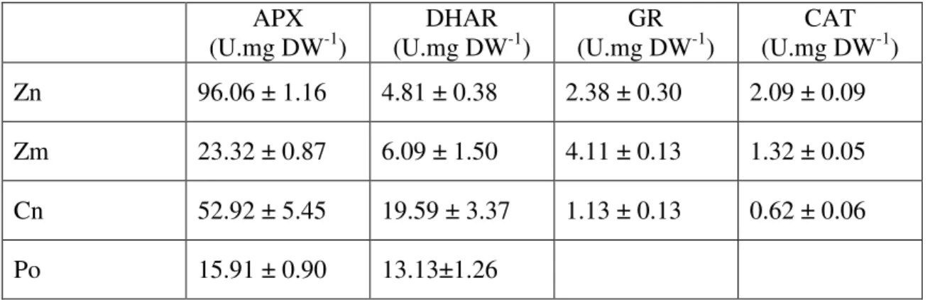 Table  1.  Enzymatic  activity  of  antioxidant  enzymes  ascorbate  peroxidase  (APX),  dehydroascorbate redutase (DHAR), glutathione redutase (GR) and catalase (CAT) from leaf  extract of  Zostera noltii (Zn), Zostera marina (Zm), Cymodocea nodosa (Cn) a