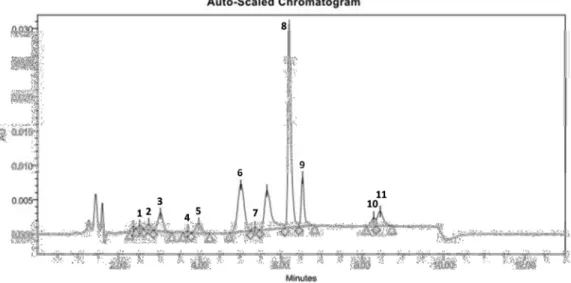 Figure 3.1. Example of HPLC chromatographic  profile of seagrass photosynthetic pigments  of Posidonia oceanica