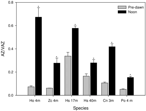 Figure 3.2. de-epoxidation index [(A+Z)/(V+A+Z)]  in seagrasses  Halophyla  ovalis (Ho) at  4m,  Zostera  capricorni (Zc) at 4m,  Halophyla  stipulacea at 17m and 40m (Hs 17m and Hs  40m, respectively), C