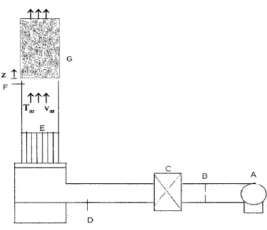 Figura III.3 – Esquema da unidade de secagem em leito fixo utilizada. 