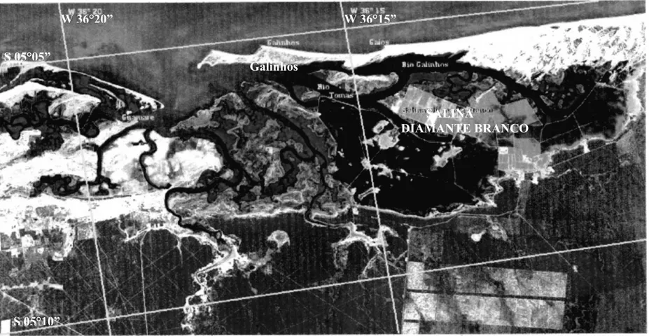 FIGURA 1: Localização da área de estudo, indicando a Salina Diamante Branco, em Galinhos – RN.