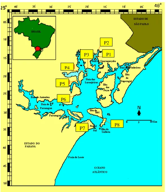 Figura  1-  Litoral  do  Estado  do  Paraná,  localização  da  área  de  estudo  e  indicação dos pontos de coleta (P1, P2, P3, P4, P5, P6, P7 e P8)