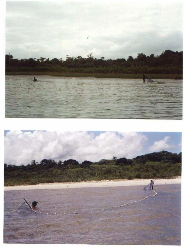 Figura 2- Coleta de peixes (arrasto) com utilização de rede do tipo picaré 