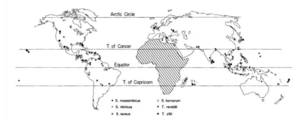 Figure 4- Introduction of tilapia (6 species) outside of Africa (Trewavas, 1982). 