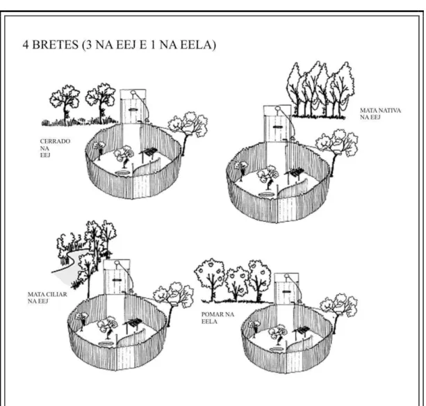 Figura  12  -  As  letras  de  A  até  D  representam  esquematicamente  os  bretes  em  quatro  diferentes  ambientes