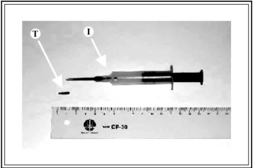 Figura 14 - Implantador (I) e transponder (T) para identificação individual dos catetos