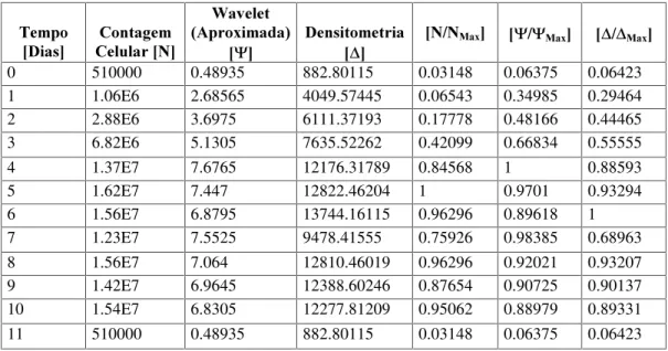 Tabela A4 – Resultados da Análise de Contagem Celular, Wavelet (das imagens aproximadas), Densitometria  do  Experimento  1  para  a  célula  de  inseto  'URVRSKLOD PHODQRJDVWHU 6 para  imagens  de  400x  de  magnificação com o reconhecimento do núcleo cel