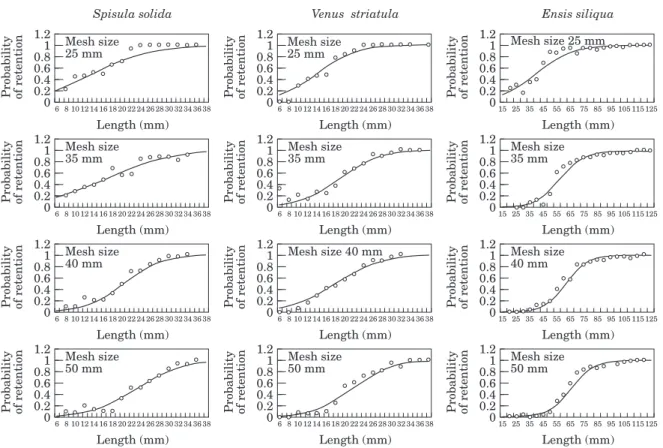 Figure 3. Selectivity curves estimated for Spisula solida, Venus striatula, and Ensis siliqua