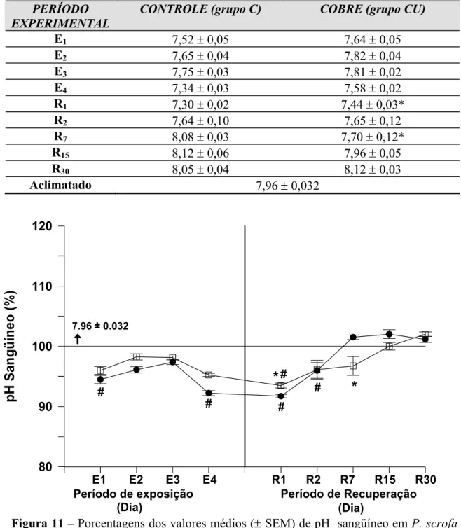 Figura 11 – Porcentagens dos valores médios (± SEM) de pH  sangüíneo em P. scrofa  durante a exposição de 96 h: 1, 2, 3 e 4 dias (E 1 , E 2 , E 3  e E 4 , respectivamente) ao cobre e  posterior recuperação: 1, 2, 7, 15, 30 dias (R 1 , R 2 , R 7 , R 15  e R
