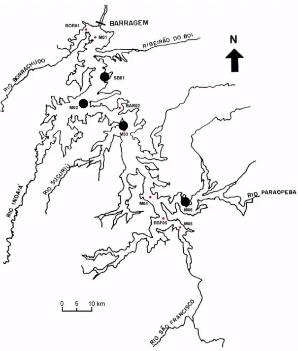 Figura 2 – Contorno da represa de Três Marias, destacando os pontos de coleta usuais para o  estudo da ictiocenose:       M 02 = Indaiá;      SB 01 = São Basílio;      M 03 = Sucuriu e      M 06 =  Barra do Paraopeba