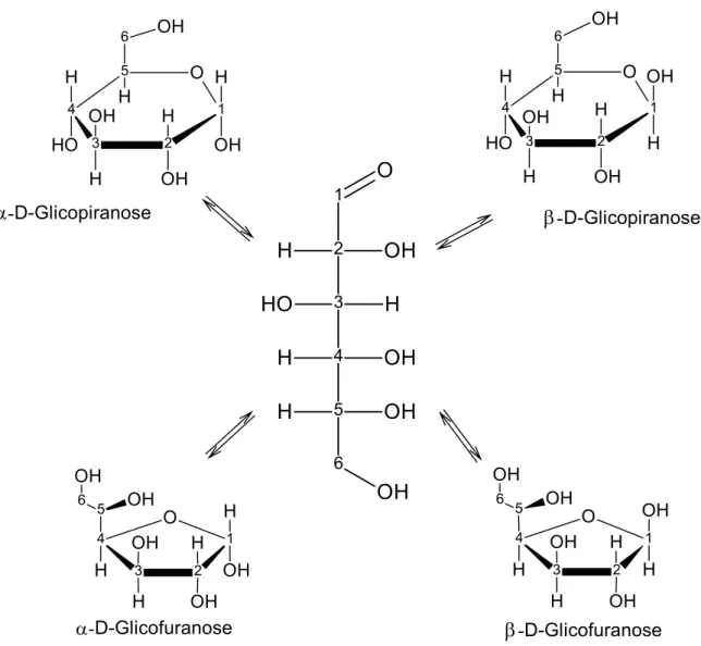 FIGURA 1.1- Equilíbrio (mutarrotação) existente em solução entre as diferentes  formas isoméricas do monossacarídeo glicose