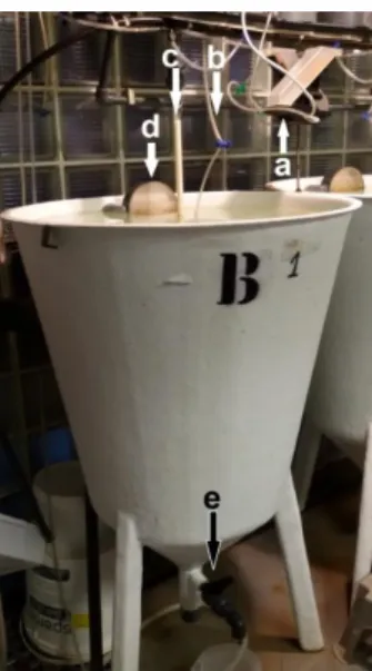 Figure 5 Cylindroconical white tank of 200L. The letters correspond: a) automatic feeder; b) aeration tube; 