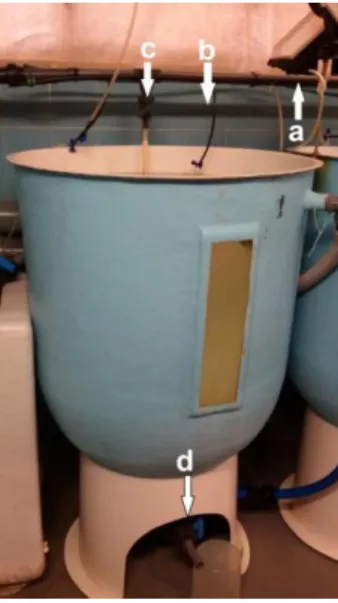 Figure 6 Blue tank of 300L. The letters correspond: a) automatic feeder; b) aeration tube; c) water renewal  tube; and d) purge site