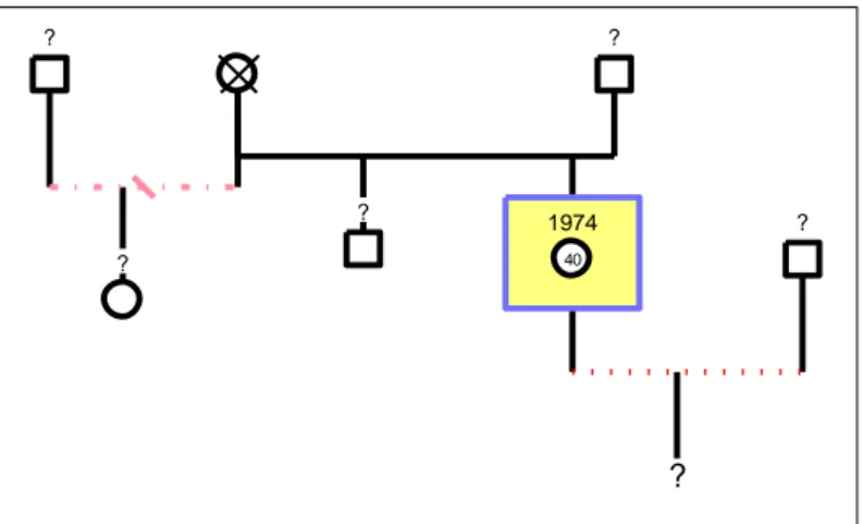 Figura 2 – Genograma “ E.” 