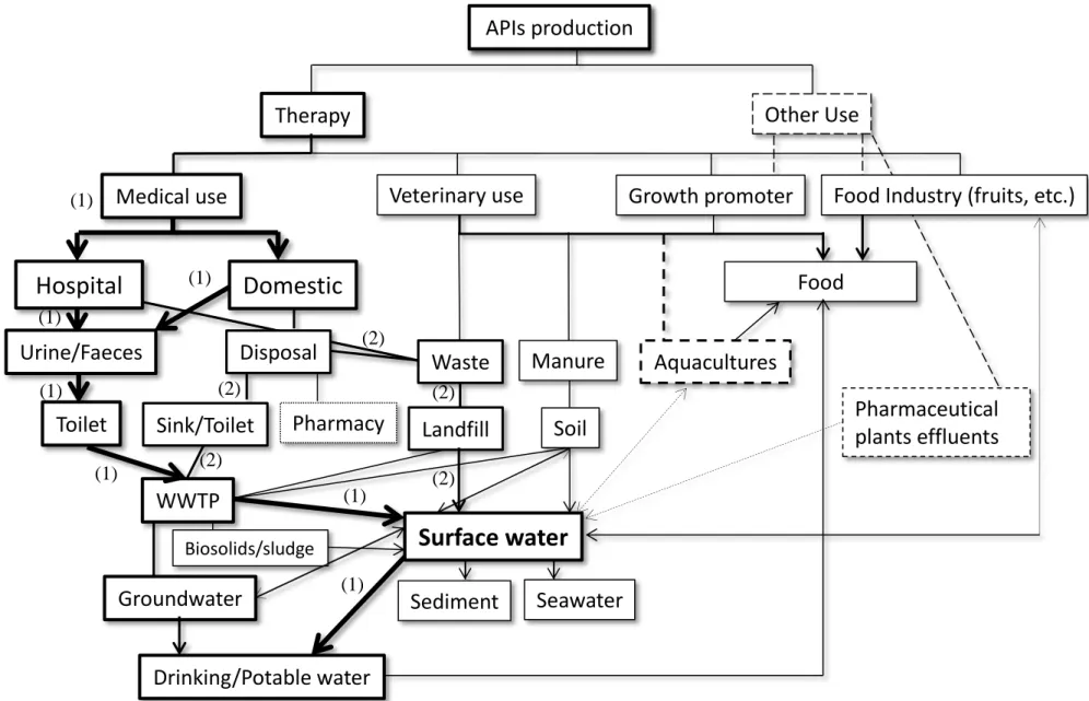Figure 1.3: Pathways of APIs from production to the aquatic environment (adapted from Heberer, 2002; Kümmerer, 2004; Bound and Voulvoulis, 2007)