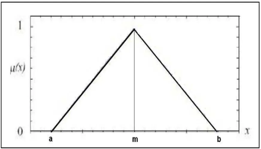 Figura 3.1. Fun¸ c~ ao de pertin^ encia triangular