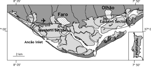 Fig. 1. Ria Formosa with the location of the 2 study sectors studied as well as the Ancão inletPortugal