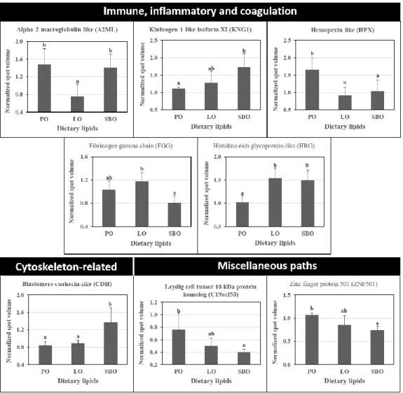 Figure 3 .  Differential abundance of proteins identified in the plasma of Nile tilapia fed experimental  diets containing palm oil (PO), linseed oil (LO) or soybean oil (SBO) for 90 days