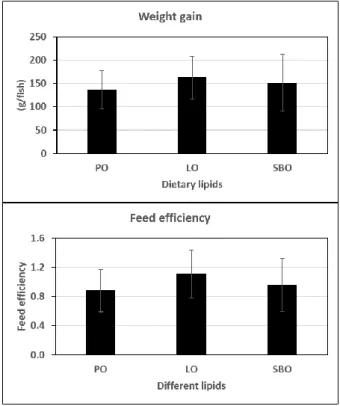 Figure 1. Growth performance including weight gain, specific growth rate and feed efficiency of Nile  tilapia fed experimental diets containing palm oil (PO), linseed oil (LO) or soybean oil (SBO) for 90 days