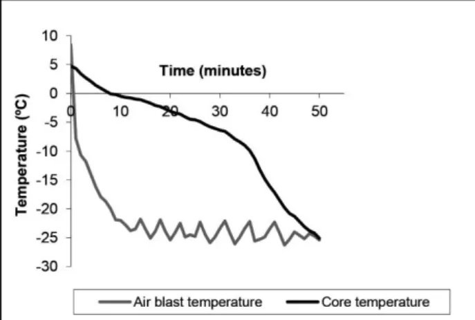 Figure 1. Temperature profıles of meagre fıllets durıng freezıng  process. 