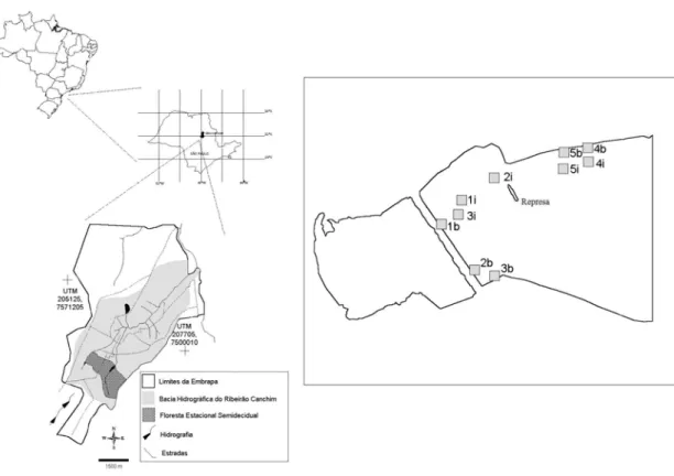 Figura 1. Área de estudo. Fazenda Canchim, floresta estacional semidecidual. Croqui  com os pontos onde foram instaladas as unidades de amostragem