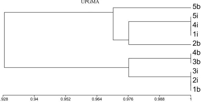 Figura 7. Dendrograma de similaridade (Spearman) entre as parcelas amostradas e as  variáveis: número total e lianas, número de espécies de lianas, número total de  indivíduos arbóreo, número de indivíduos arbóreos com lianas, média dos diâmetros,  média d