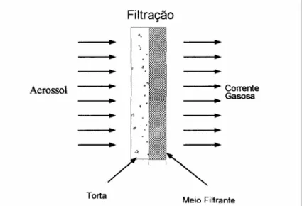 Figura 2.8 – Esquema de coleta de partículas no meio filtrante 