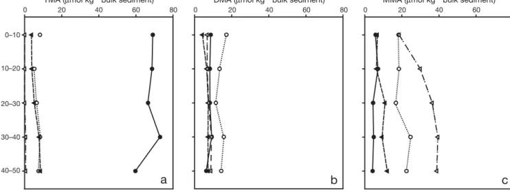 Fig. 5. Solid-phase concentrations of (a) TMA, (b) DMA and (c) MMA in cores taken from Site 1