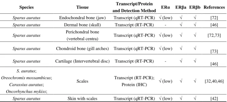 Table 1. Detection of estrogen receptor isoforms in fish mineralized tissues. 