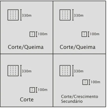 Figura 1:  Esquema de tratamentos do entorno e trilhas dos fragmentos florestais isolados  de 1 e 10 ha