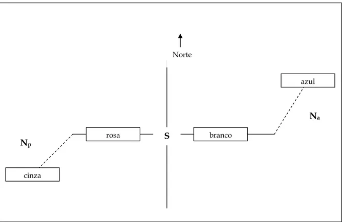 Figura 1: Esquema de cores utilizado na marcação de hesperídeos. Azul na fase nômade  anterior (Na); branco a leste do ninho sedentário (S); rosa a oeste no ninho sedentário; 