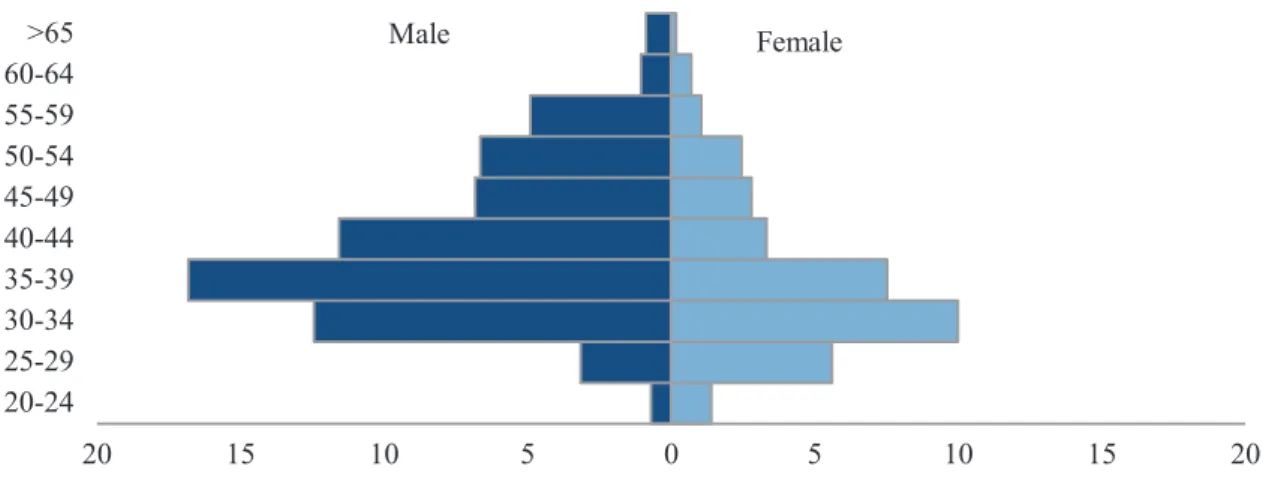 Fig. 11.3  Age pyramid, Portuguese nationals in Angola (%). 