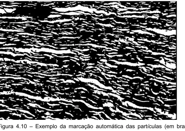 Figura 4.10 – Exemplo da marcação automática das partículas (em branco)  feita pelo programa ImagePro Plus, versão 3.0