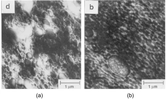 Figura 2.2 - Micrografias de MET dos ABS H300L (a) e 870 (b), tingidos com  OsO 4 , obtidas por Mantovani a partir de corpos de prova injetados
