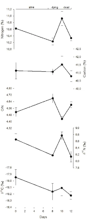 Fig.  2.  Temporal  variations  (mean  ±  standard  error)  of  nitrogen  and  carbon  contents,  carbon- carbon-nitrogen ratio, and  15 N and  13 C abundances in R