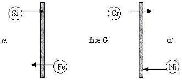 Figura 2.9 – Fluxo de elementos durante a formação de fase G e a  decomposição &#34;spinodal&#34; da ferrita