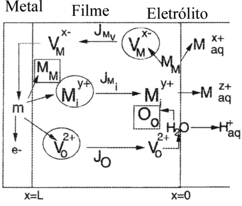 Figura 2.11 - Esquema do processo de troca de lugares no metal/camada  anódica/solução proposto por BOJINOV et all