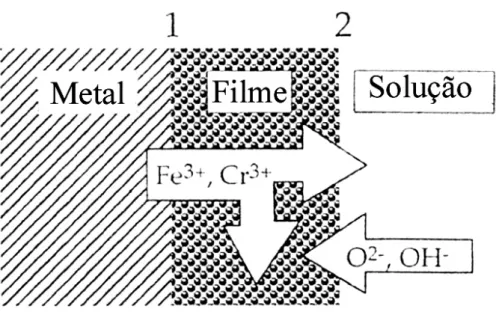Figura 2.14 – Desenho esquemático sobre a transferência de massa durante o  crescimento anódico do filme, segundo HAMM et all