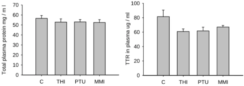 Figure 12 - Total plasma protein concentration (μg/μl) measured by Lowry assay in each group of fish (n =  7) and TTR plasma concentration (ng/μl) measured by western blot in each group of fish (n=4) at the end of  the experiment