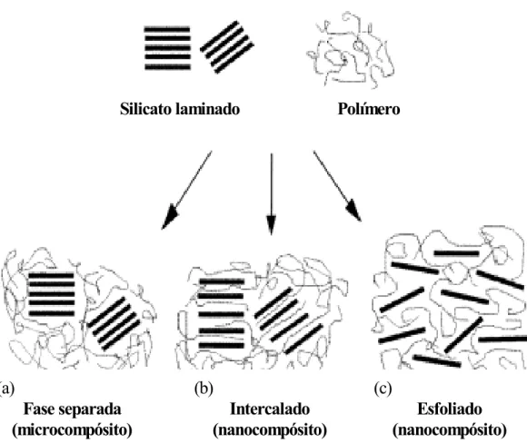 Figura 2.9: Esquema dos diferentes tipos de compósitos obtidos a partir  da interação dos silicatos laminados e dos polímeros: (a) microcompósito de  fase separada; (b) nanocompósito intercalado (c) nanocompósito esfoliado [33]