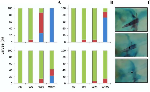 Figure  4.7.  Percentage  of  zebrafish  showing  different  mineralization  degrees  of  the  basioccipital  (bop)  when exposed to increased concentrations of warfarin during the embryonic (upper images) and endotrophic  stages (bottom images)