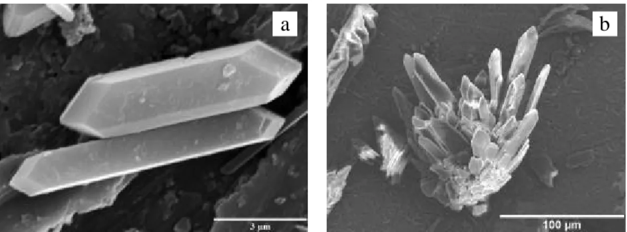 Fig. 1. SEM micrographs of IST-1 (a) and IST-2 (b).