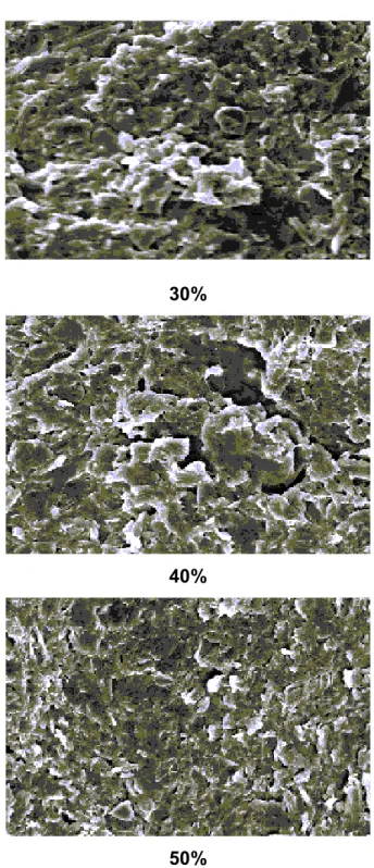 FIGURA 3.2 – Micrografias eletrônicas de varredura das superfícies de fraturas  dos compósitos com 30, 40 e 50% (grafite, m/m)