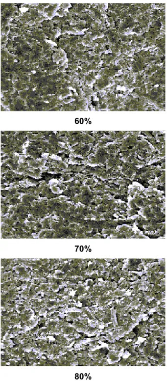 FIGURA 3.3 – Micrografias eletrônicas de varredura das superfícies de fraturas  dos compósitos com 60, 70 e 80% (grafite, m/m)