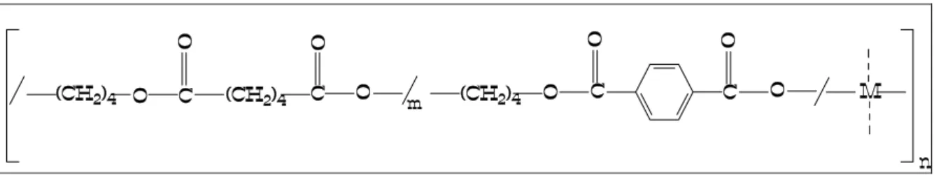 Figura 2.5 – Estrutura química dos meros que formam as macromoléculas do  copoliéster Ecoflex [40]