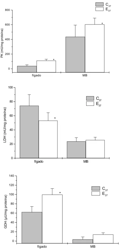FIGURA 4: Atividade enzimática de fígado e  músculo branco (MB) de matrinxãs submetidos a 37  dias de experimentação (média ± DP)